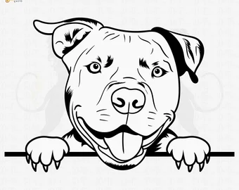 speaker's professional image